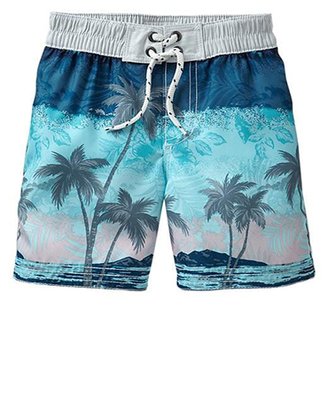 Swimming Shorts